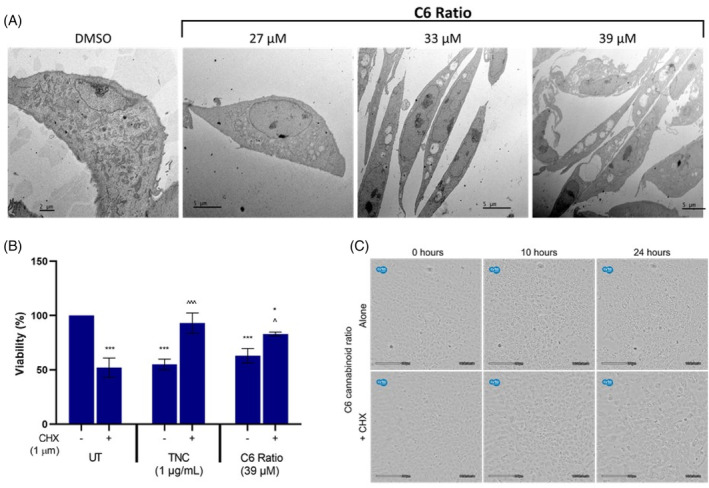 PMC11471428 – cpr13650-fig-0005