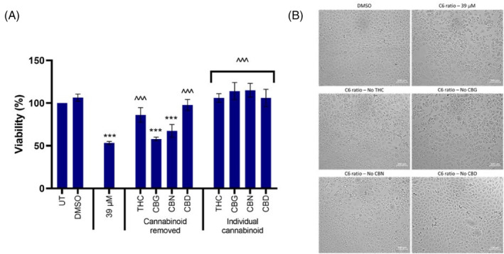 PMC11471428 – cpr13650-fig-0010