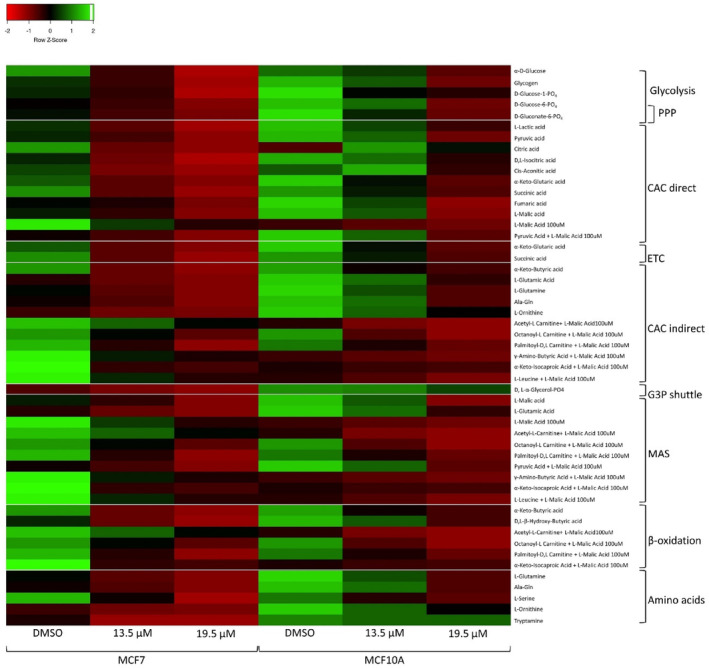 PMC11471428 – cpr13650-fig-0011