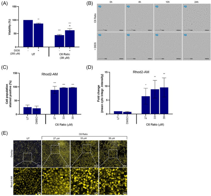PMC11471428 – cpr13650-fig-0009