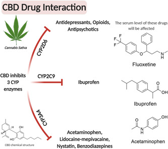 PMC9209799 – cre2564-fig-0003