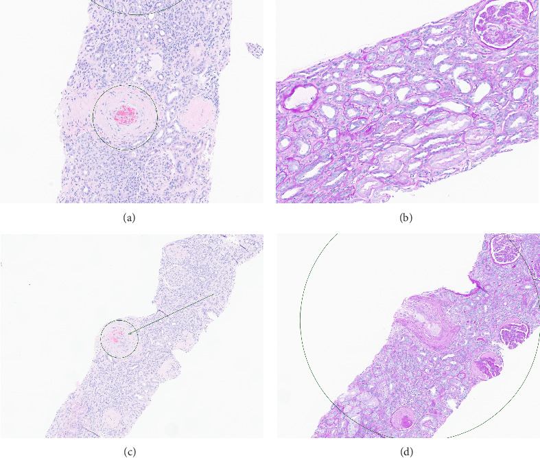 PMC12286664 – fig1
