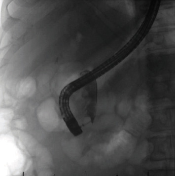 PMC11300095 – fig2