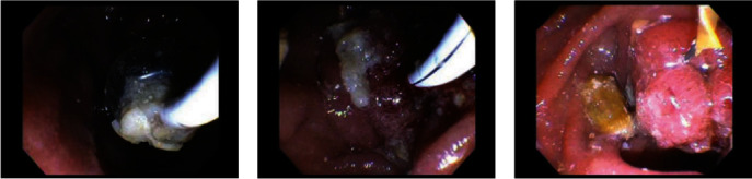 PMC11300095 – fig3