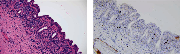 PMC11300095 – fig5