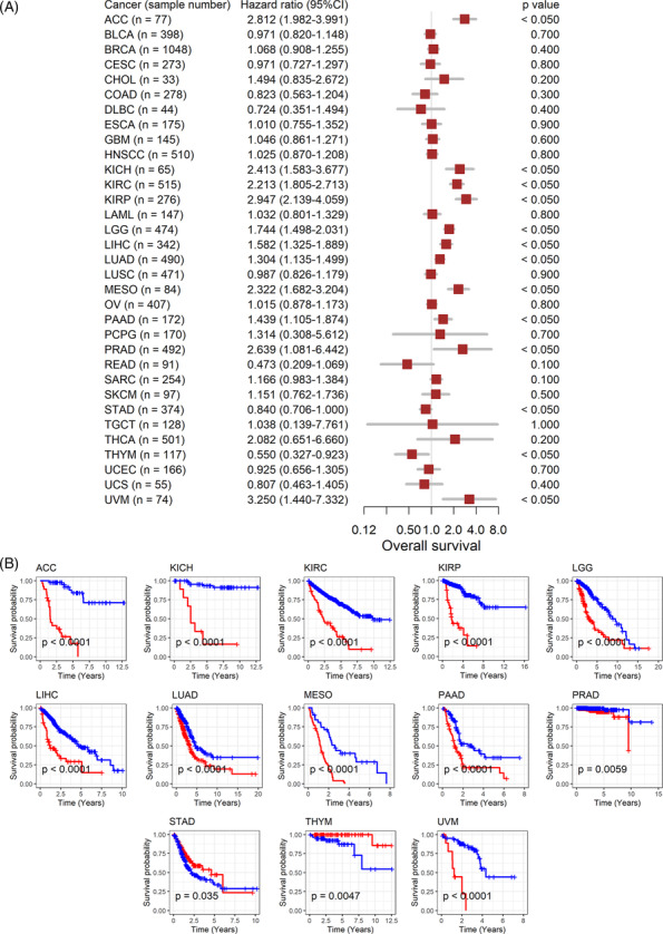 PMC11077242 – crj13757-fig-0003