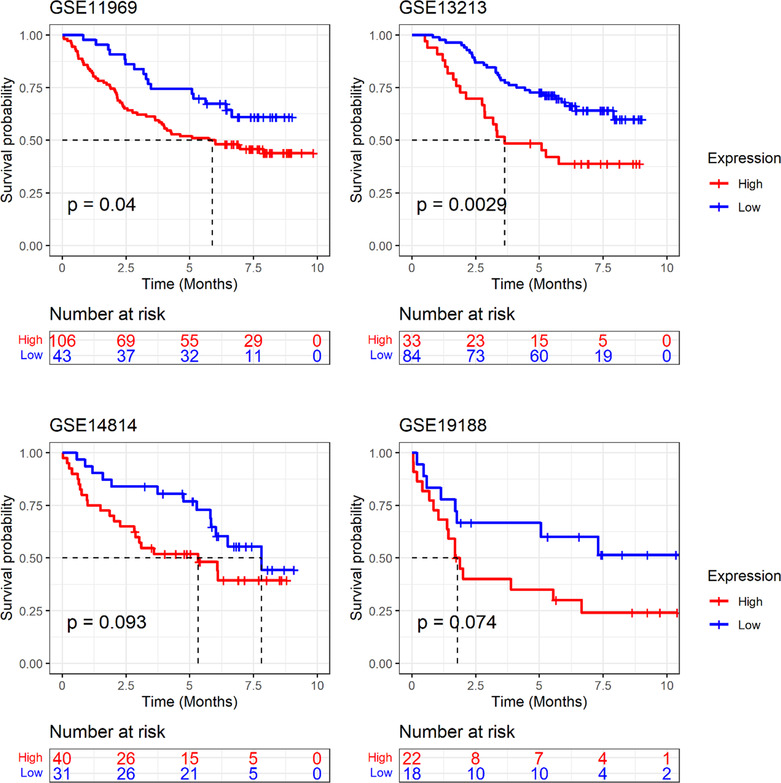 PMC11077242 – crj13757-fig-0008