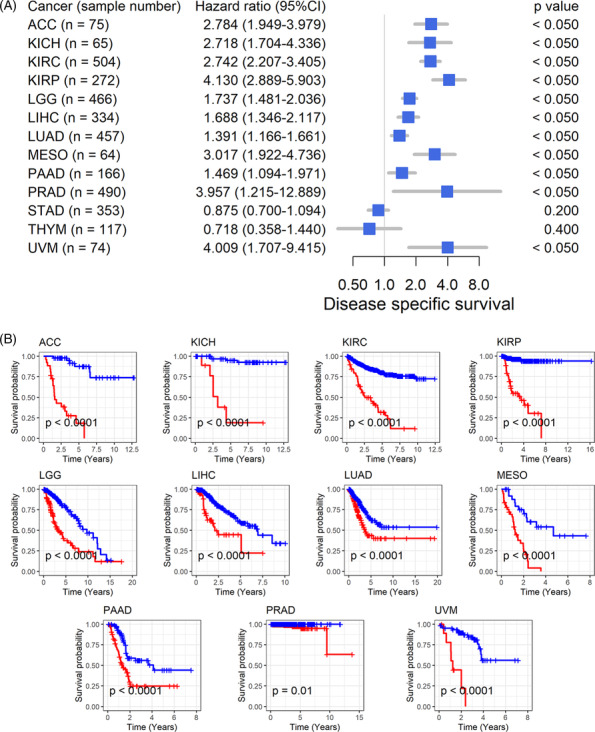 PMC11077242 – crj13757-fig-0004