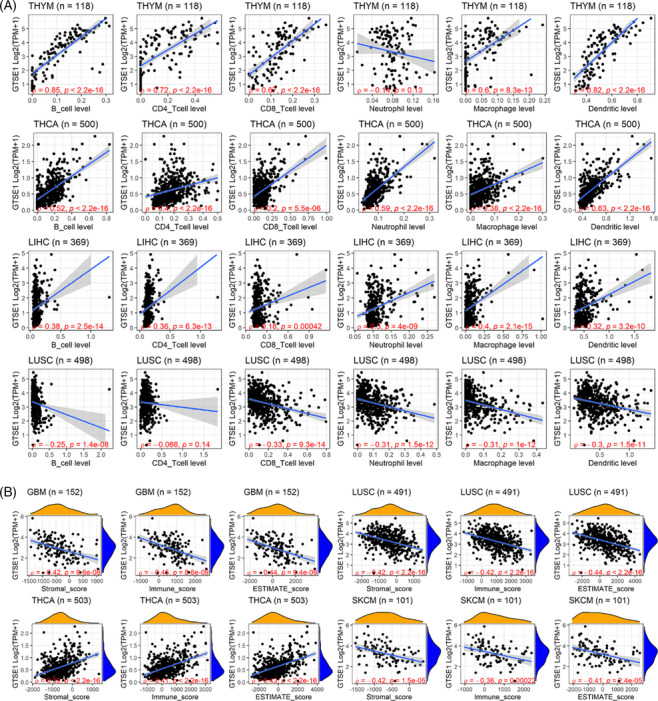 PMC11077242 – crj13757-fig-0006
