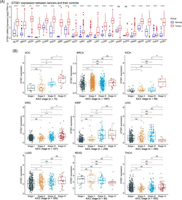 PMC11077242 – crj13757-fig-0001