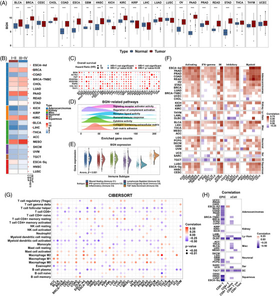 PMC9920016 – ctm21189-fig-0006