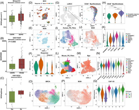 PMC9920016 – ctm21189-fig-0007
