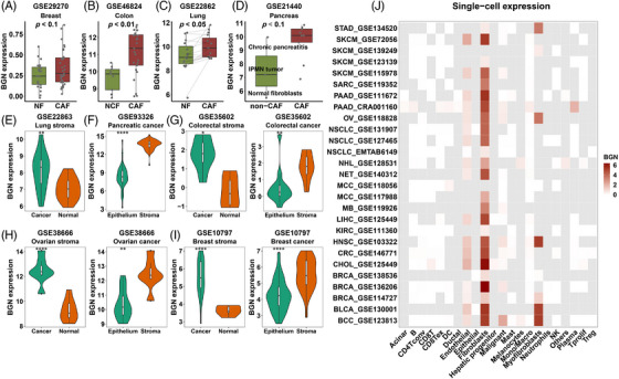 PMC9920016 – ctm21189-fig-0005