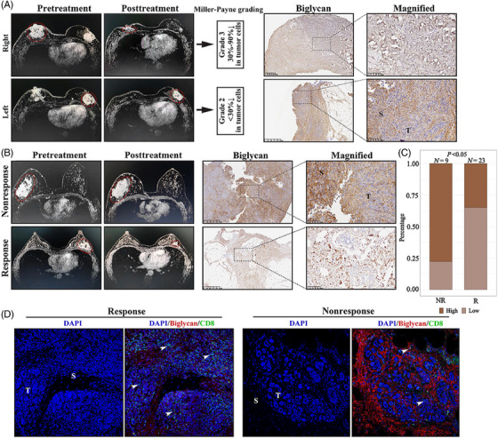PMC9920016 – ctm21189-fig-0008