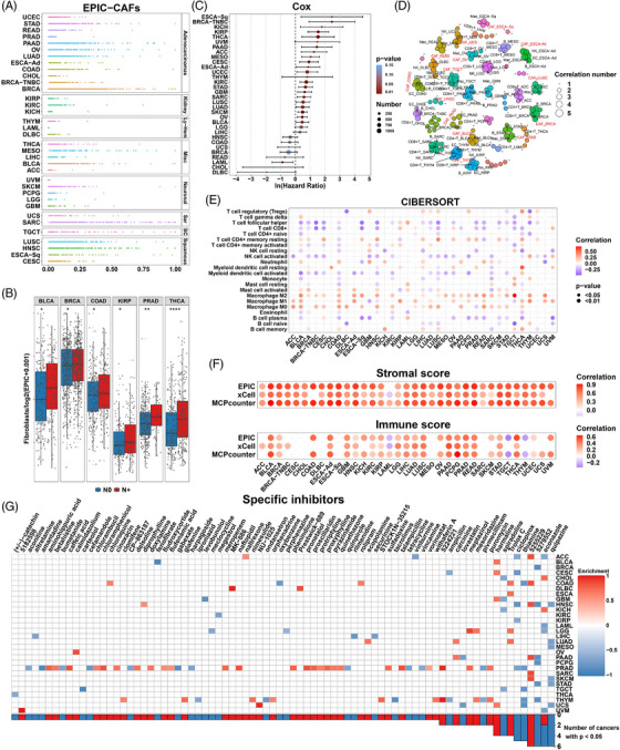 PMC9920016 – ctm21189-fig-0002