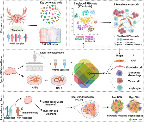 PMC9920016 – ctm21189-fig-0001