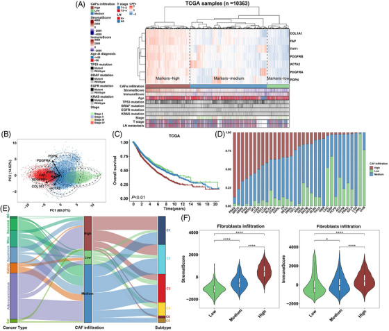 PMC9920016 – ctm21189-fig-0003
