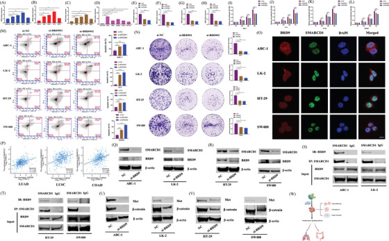 PMC10835192 – ctm21543-fig-0007
