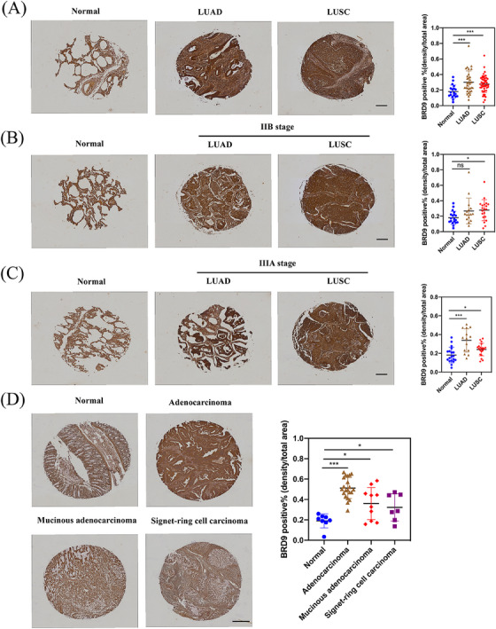PMC10835192 – ctm21543-fig-0006