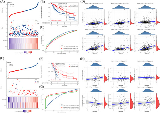 PMC10835192 – ctm21543-fig-0010