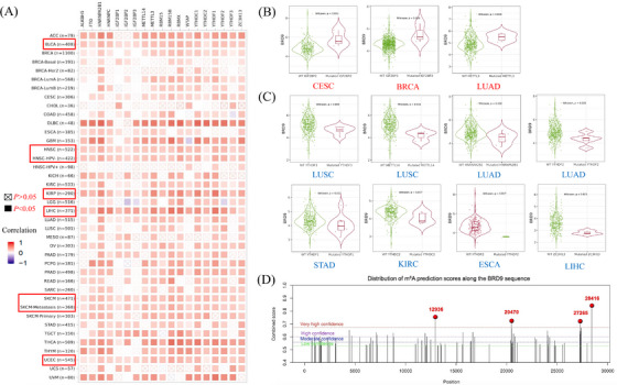 PMC10835192 – ctm21543-fig-0005