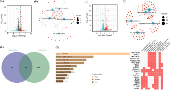 PMC10835192 – ctm21543-fig-0008