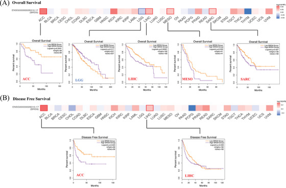 PMC10835192 – ctm21543-fig-0003
