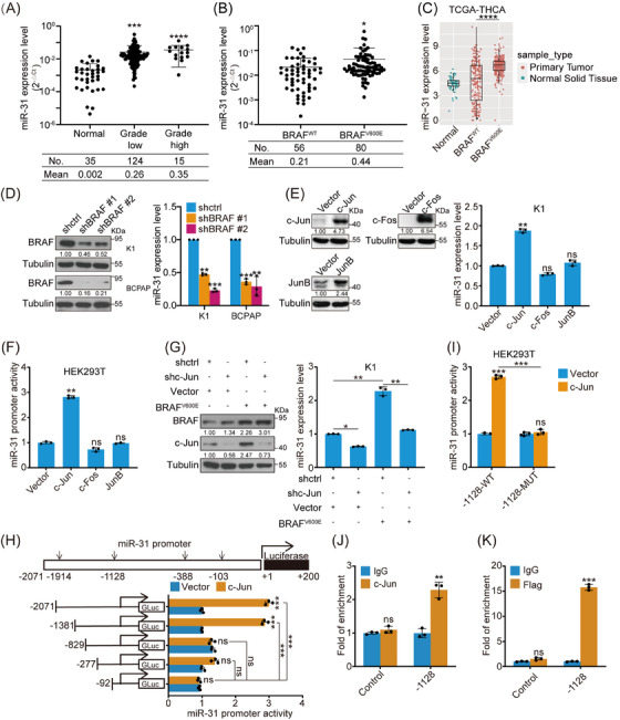 PMC11128713 – ctm21694-fig-0001