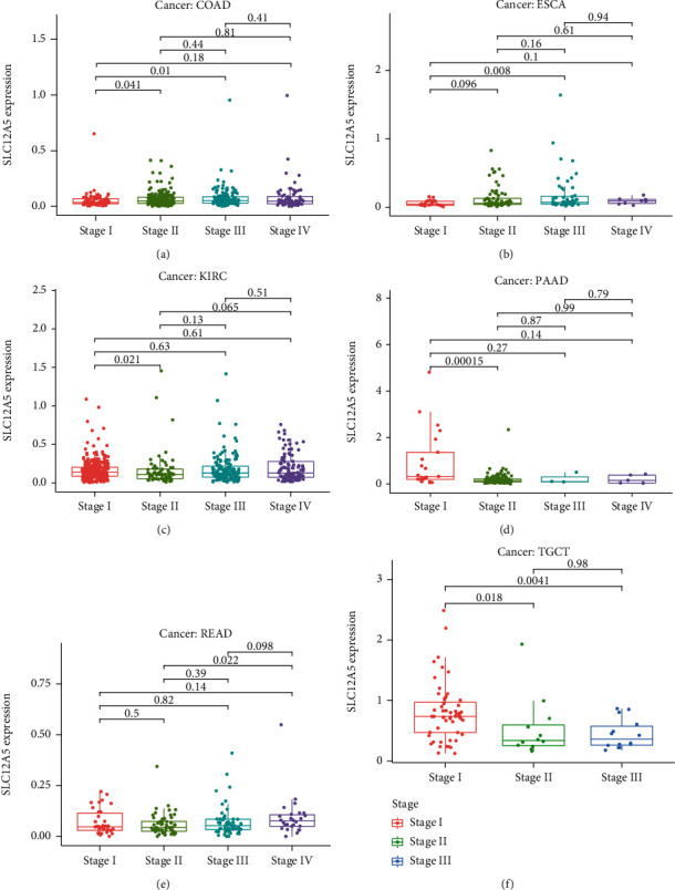PMC8495467 – fig4