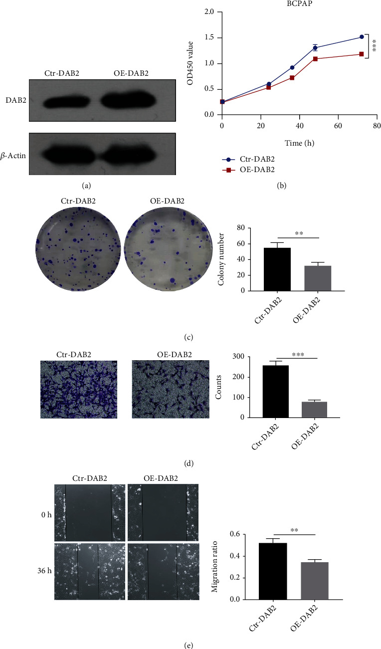 PMC10202610 – fig8