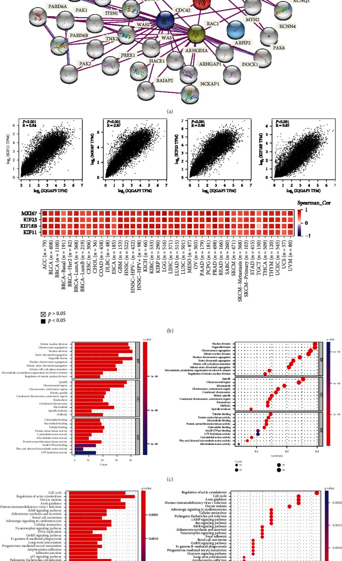 PMC9508463 – fig11
