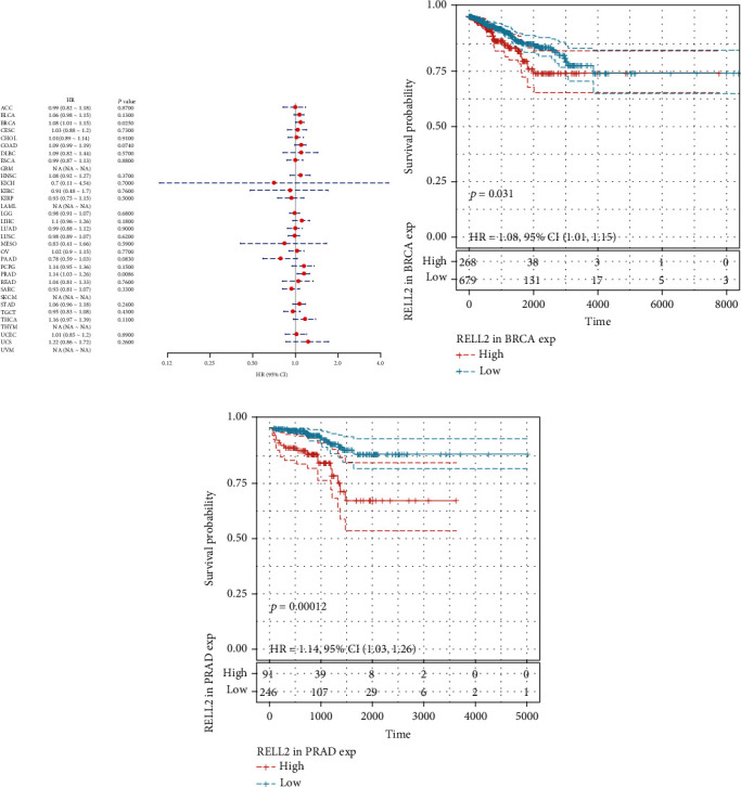 PMC9132657 – fig4