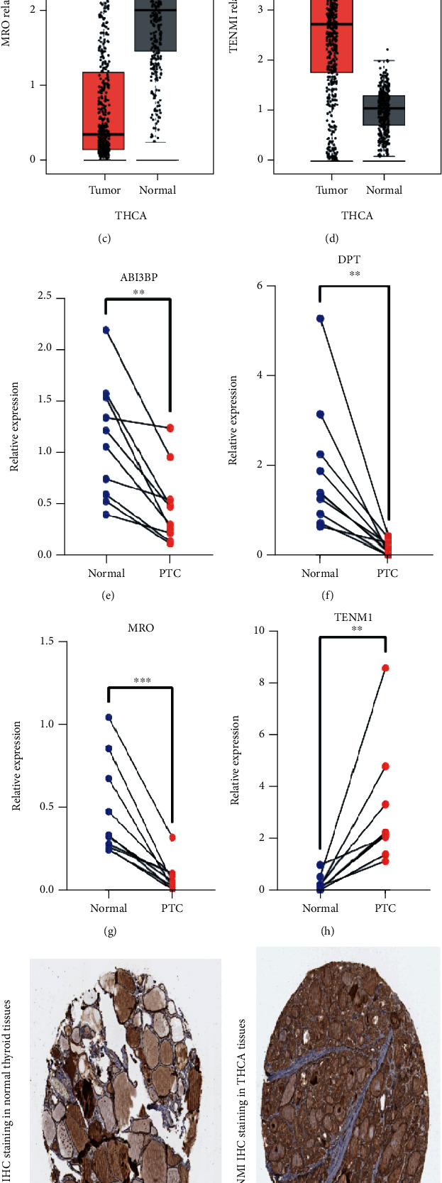 PMC9526076 – fig9