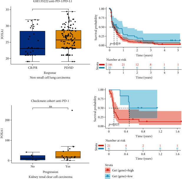 PMC9646314 – fig11