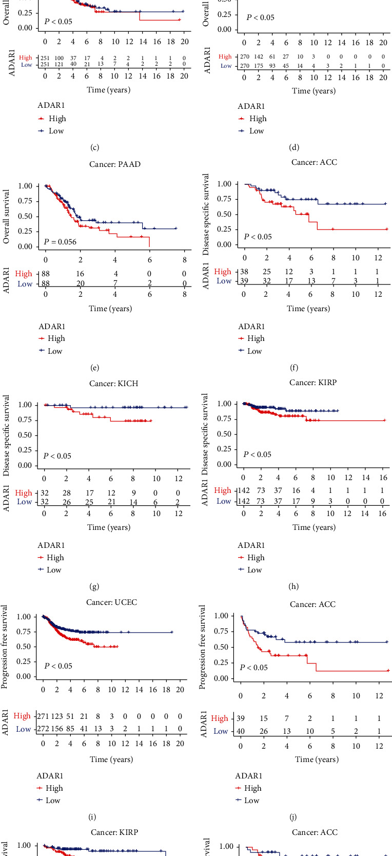 PMC9974249 – fig3