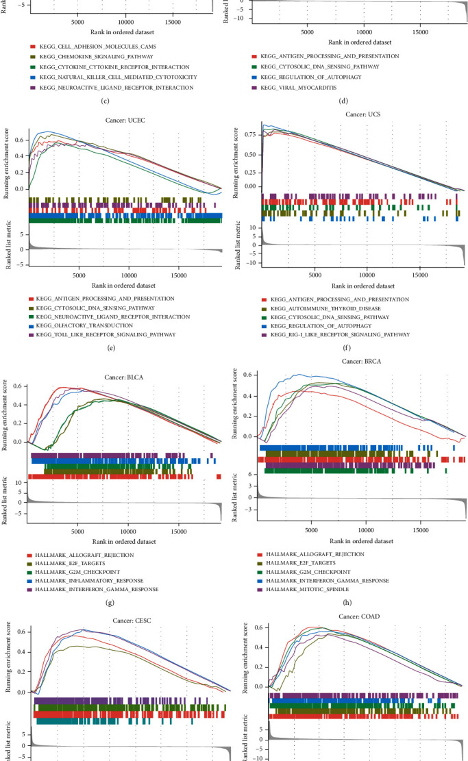 PMC9974249 – fig5