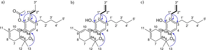 PMC12401631 – dta3866-fig-0001