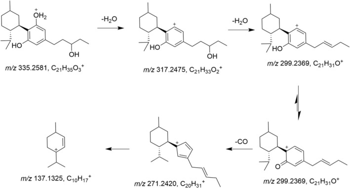 PMC12689245 – dta3945-fig-0002