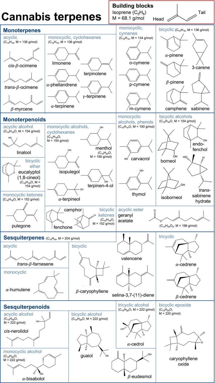 PMC12796564 – dta3966-fig-0001