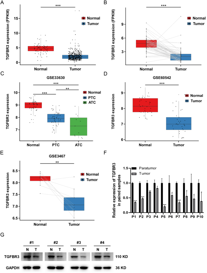 PMC11623029 – fig1
