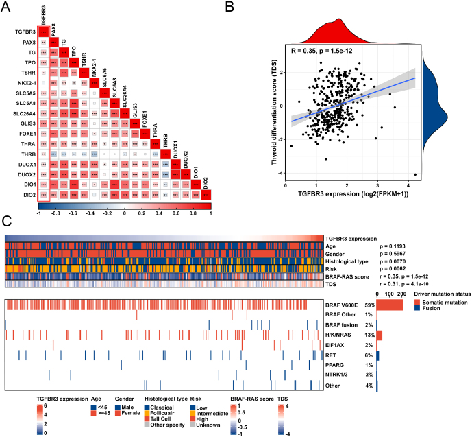 PMC11623029 – fig3