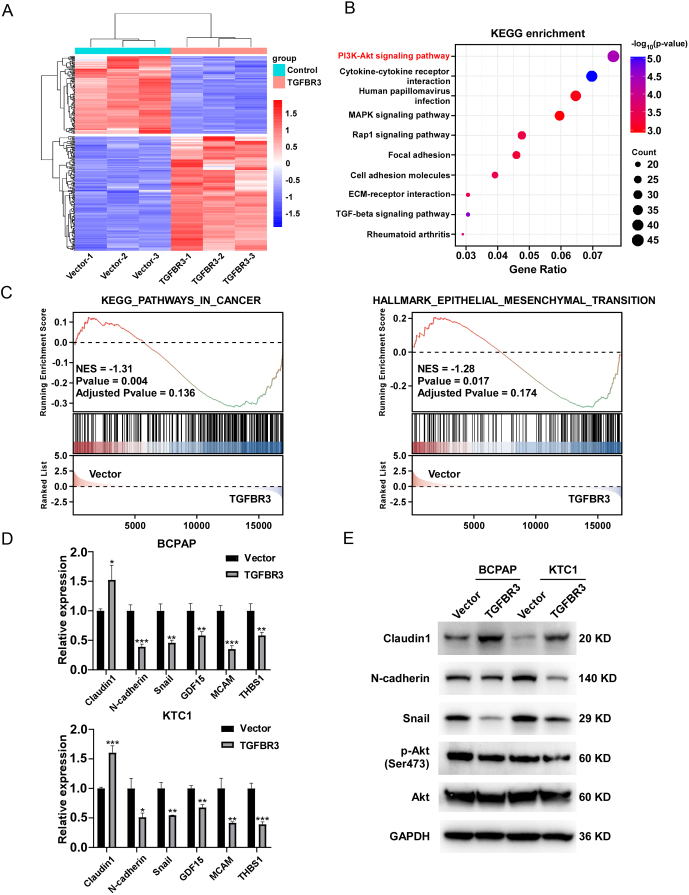 PMC11623029 – fig5