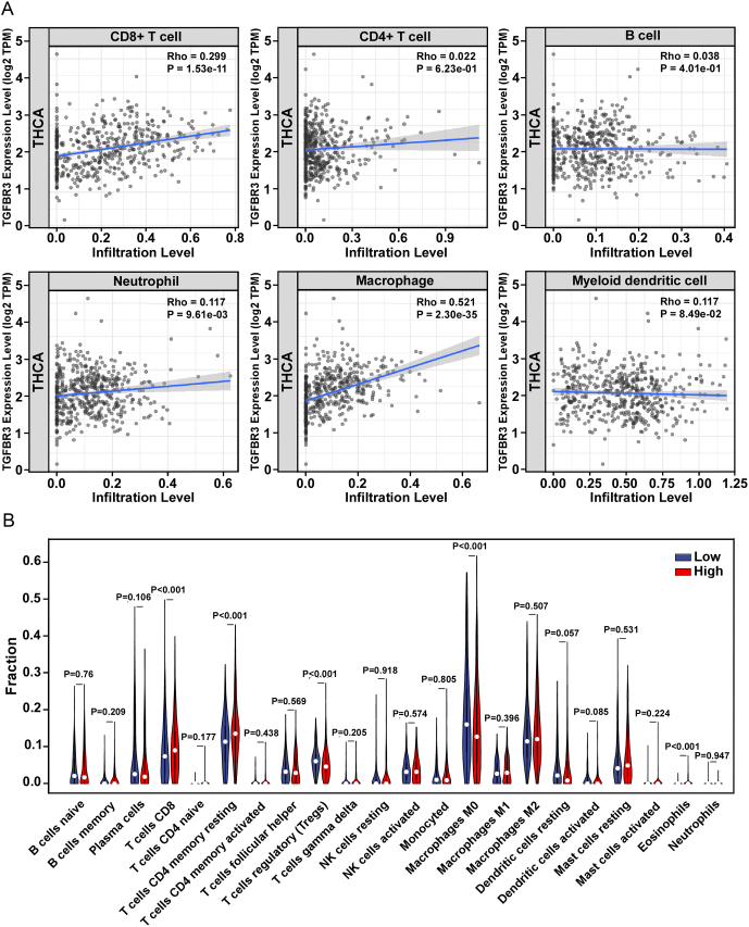 PMC11623029 – fig6
