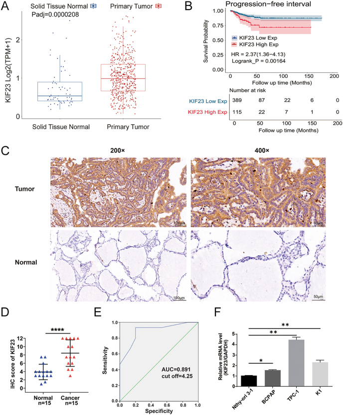 PMC12555028 – fig1