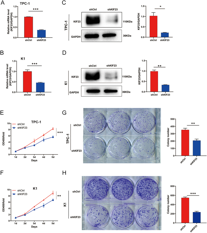 PMC12555028 – fig2