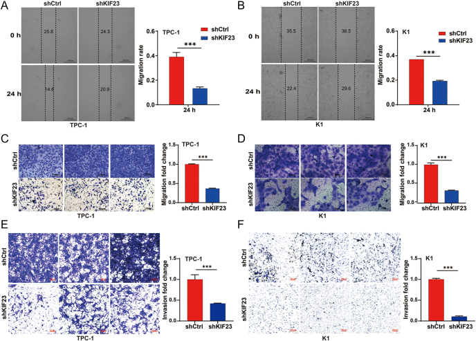 PMC12555028 – fig3
