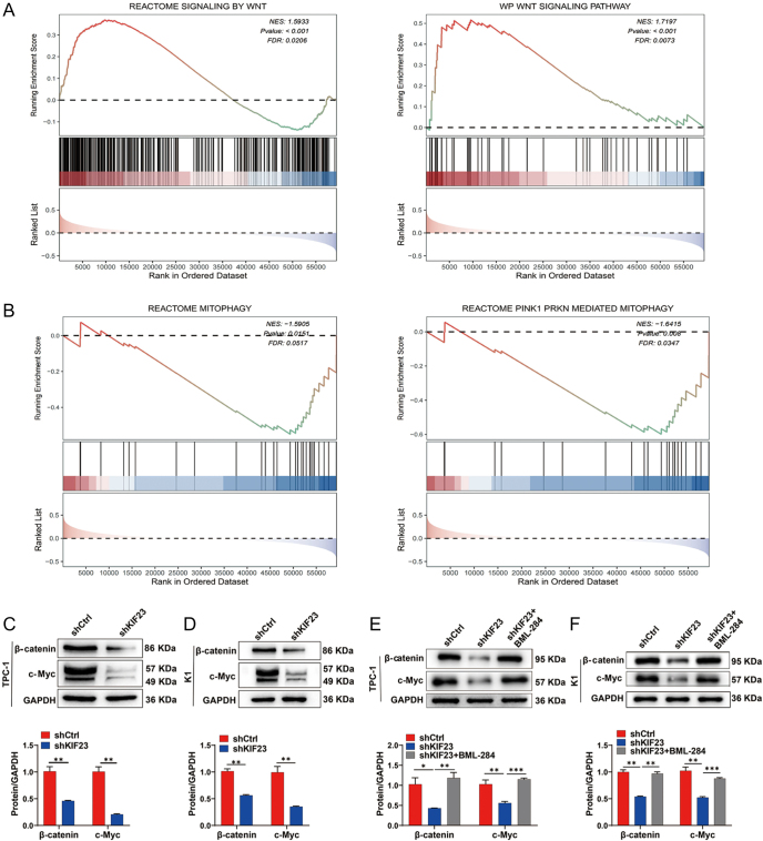 PMC12555028 – fig4