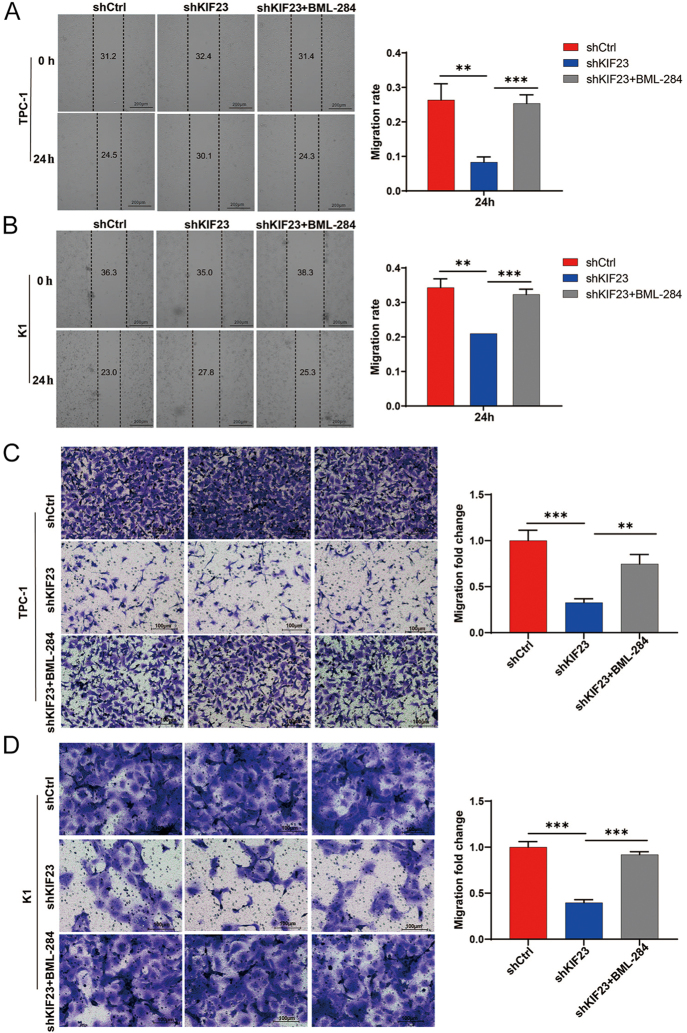 PMC12555028 – fig5