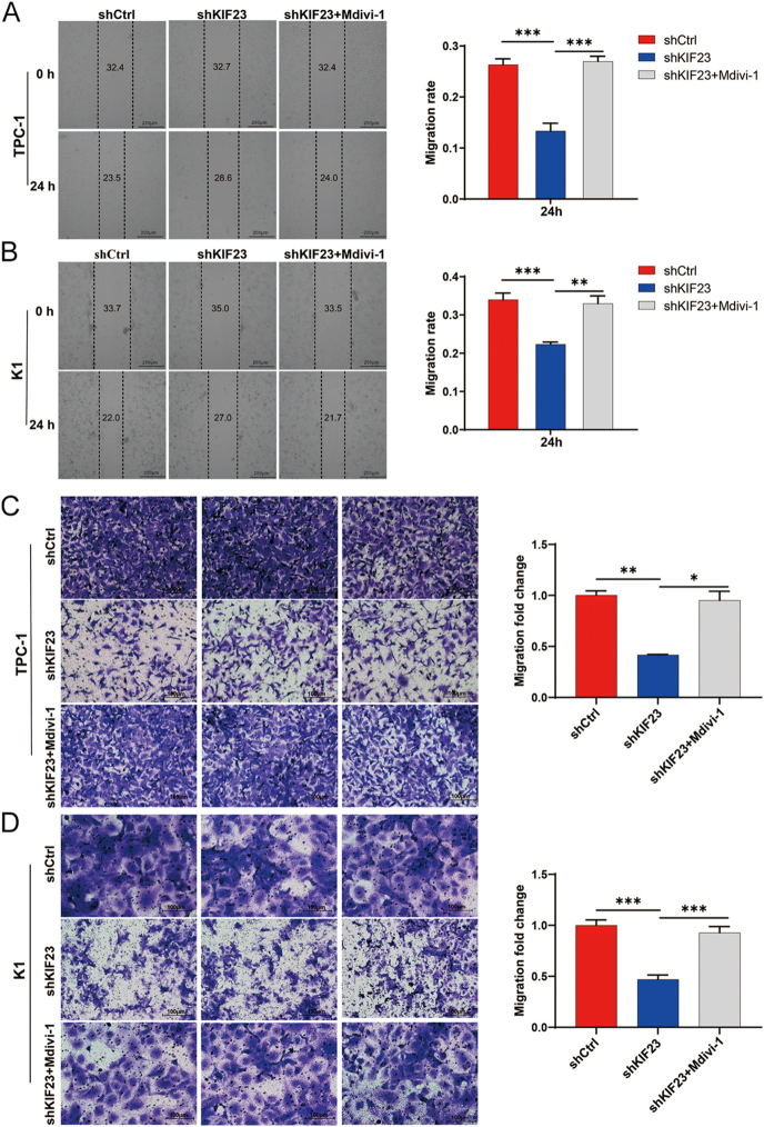 PMC12555028 – fig7