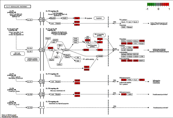 PMC8741373 – fig11